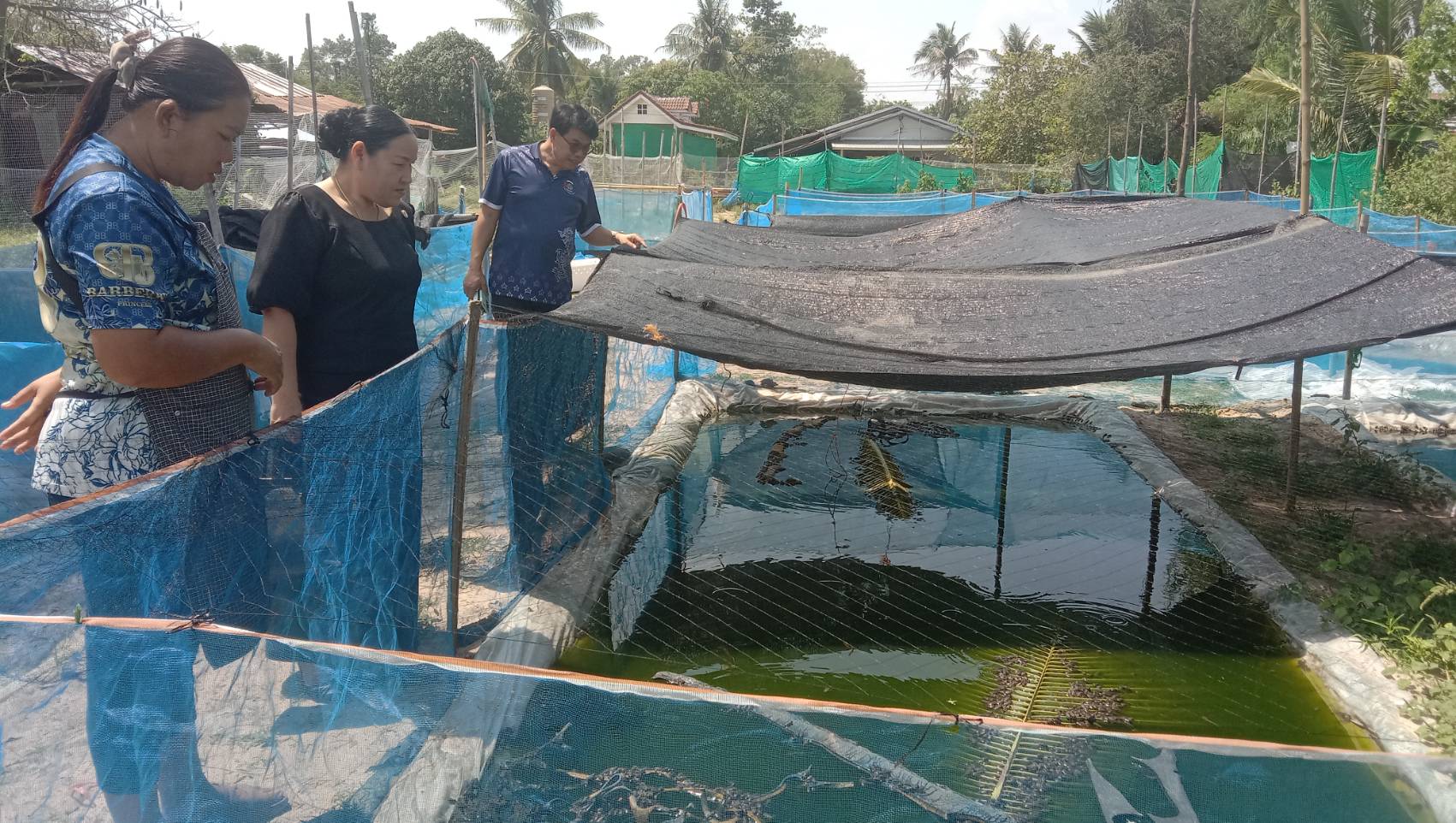 พช.เหล่าเสือโก้ก  ลงพื้นที่ติดตามและสนับสนุนการดำเนินงานของกลุ่มกองทุนพัฒนาบทบาทสตรี
