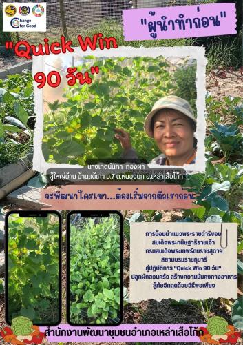 พช.เหล่าเสือโก้ก  กับปฏิบัติการ “Quick Win” 90 วัน ปลูกผักสวนครัวฯ